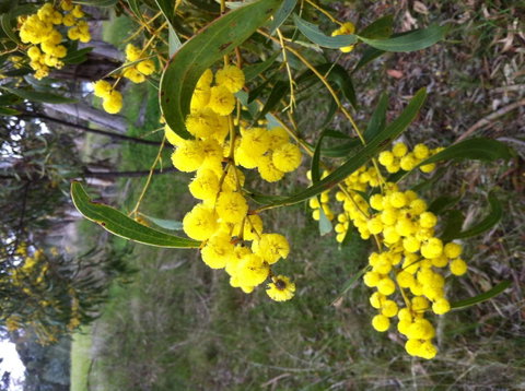 Clare Valley Cabins - Accommodation Kalgoorlie 31
