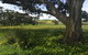 Clare Valley Cabins - thumb 1
