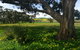 Clare Valley Cabins - thumb 21