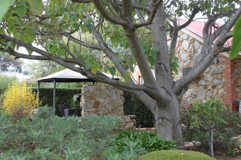 Langmeil Cottages - Accommodation Kalgoorlie 3