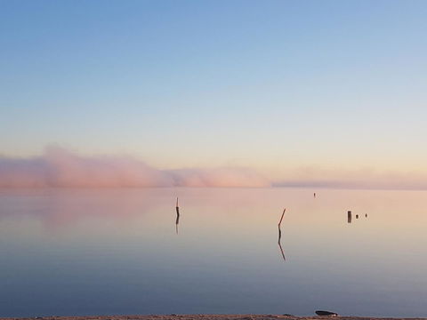 Barmera Lake Resort Motel - Accommodation Kalgoorlie 3