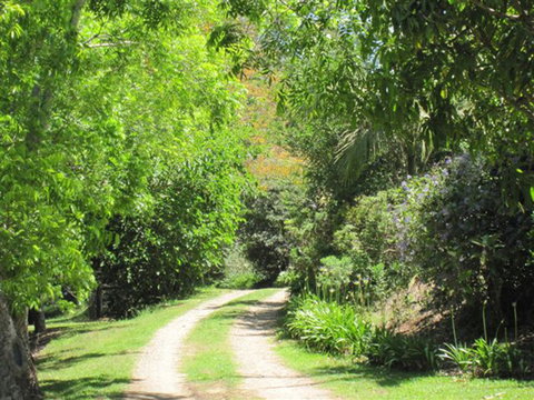 SummerHills Retreat Byron Bay - Accommodation Kalgoorlie 33