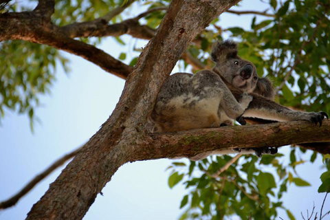 SummerHills Retreat Byron Bay - Accommodation Kalgoorlie 36