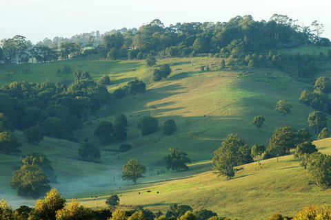 SummerHills Retreat Byron Bay - Accommodation Kalgoorlie 20