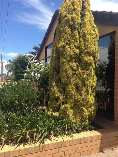 Aviators Lodge - Accommodation Kalgoorlie 9