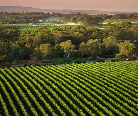 The Reserve Barossa Valley - Accommodation Kalgoorlie 1