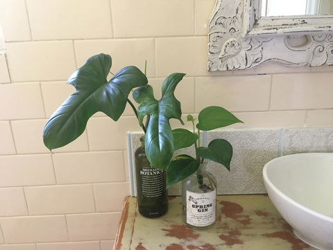 Yallaroo Cottage - Accommodation Kalgoorlie 13