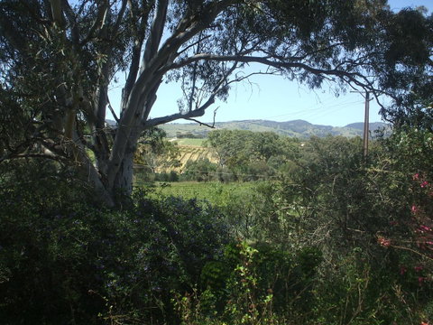 Archery Road Estate - Accommodation Kalgoorlie 0