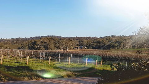 D2 At Watervale - Accommodation Kalgoorlie 23