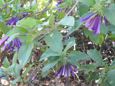 A Secret Garden - Accommodation Kalgoorlie 11