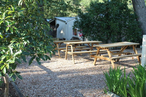 Millicent Hillview Caravan Park - Accommodation Kalgoorlie 9