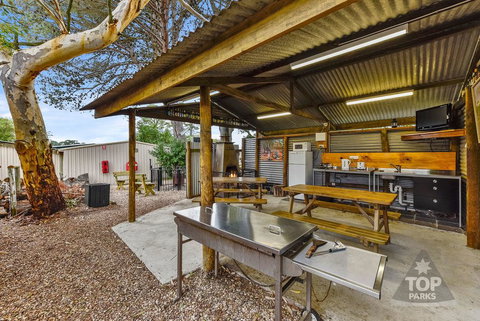 Millicent Hillview Caravan Park - Accommodation Kalgoorlie 20