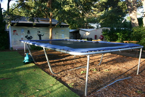 Millicent Hillview Caravan Park - Accommodation Kalgoorlie 6