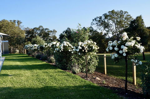 Beltana Villas - Accommodation Kalgoorlie 2