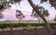Jasmine\'s Barossa Valley Cottage - thumb 19