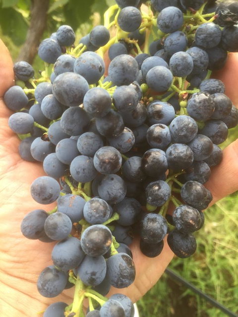 The Winemakers - Accommodation Kalgoorlie 14