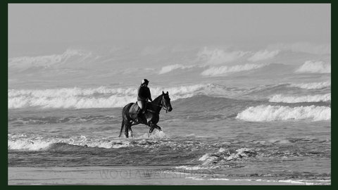 Gumnut Getaway BnB - Accommodation Kalgoorlie 19