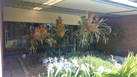 Hilltop Escape - Accommodation Kalgoorlie 11