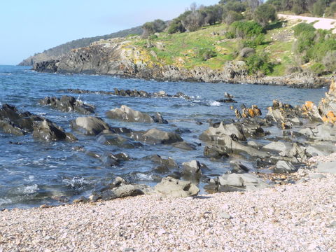 Ashendens At Penneshaw - Accommodation Kalgoorlie 2
