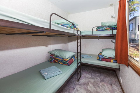 Echo Holiday Parks - Naracoorte - Accommodation Kalgoorlie 35