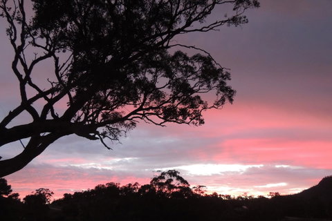Wozza's B&B - Accommodation Kalgoorlie 3