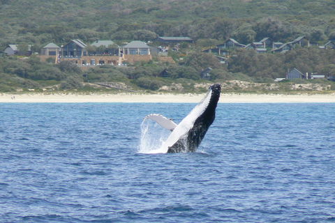 Pullman Bunker Bay Resort Margaret River - Accommodation Kalgoorlie 25