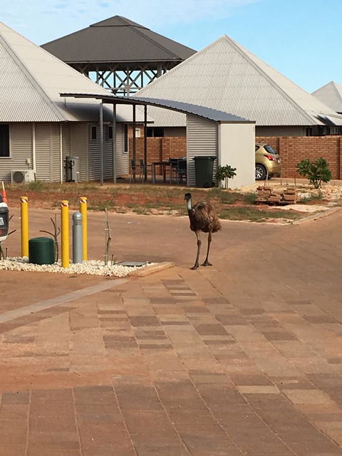 Escape 2 Exmouth - Accommodation Kalgoorlie 16