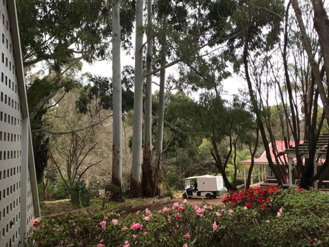 Forest Lodge Resort - Accommodation Kalgoorlie 11