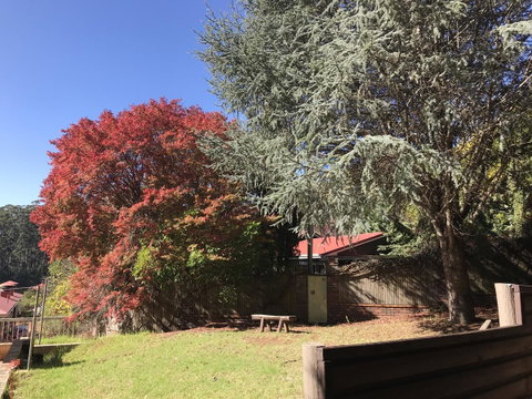 Forest Lodge Resort - Accommodation Kalgoorlie 42