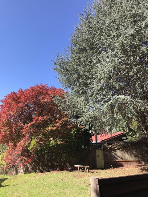 Forest Lodge Resort - Accommodation Kalgoorlie 35