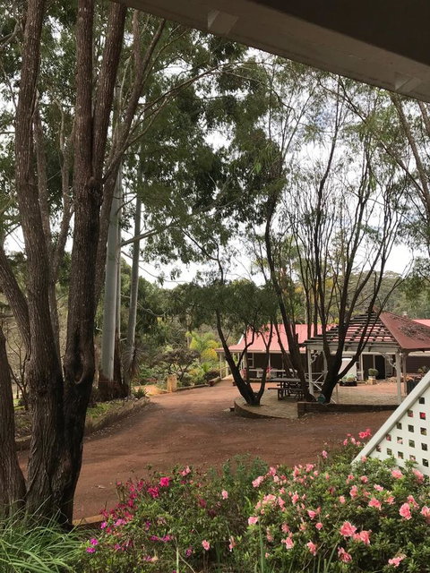 Forest Lodge Resort - Accommodation Kalgoorlie 9