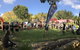 Forest Lodge Resort - thumb 29