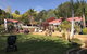 Forest Lodge Resort - thumb 5