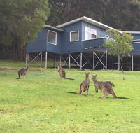 Blue House Denmark - Accommodation Kalgoorlie