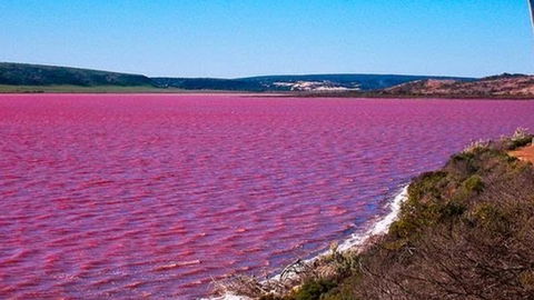 Kanga Cottage - Accommodation Kalgoorlie 38