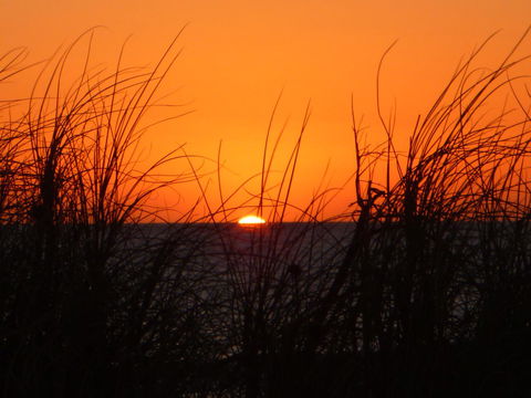 Kanga Cottage - Accommodation Kalgoorlie 27