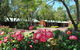Margaret River Tourist Park - thumb 25