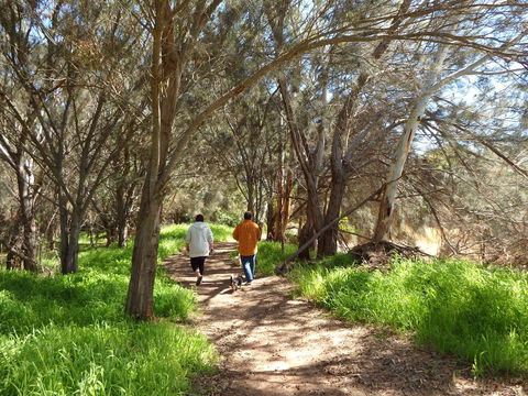 Lazy Lobster Holiday Units & Chalets - Accommodation Kalgoorlie 26