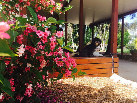 Armidale Tourist Park - Accommodation Kalgoorlie 34