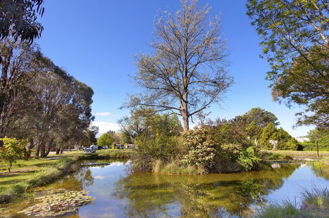 Armidale Tourist Park - Accommodation Kalgoorlie 24