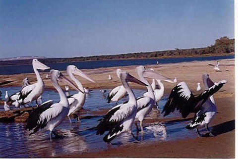 Unit 42 Kalbarri Beach Resort - Accommodation Kalgoorlie 17