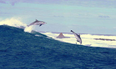 Unit 42 Kalbarri Beach Resort - Accommodation Kalgoorlie 22