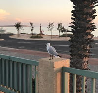 Shark Bay Seafront Apartments - Accommodation Kalgoorlie