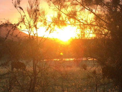 Grapevines Boutique Accommodation - Accommodation Kalgoorlie 27