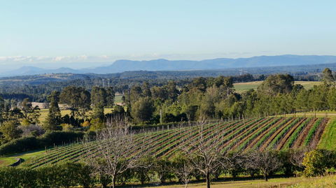 Grapevines Boutique Accommodation - Accommodation Kalgoorlie 21