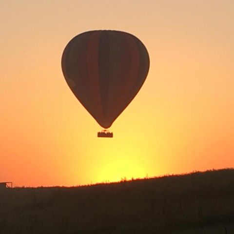 Grapevines Boutique Accommodation - Accommodation Kalgoorlie 13