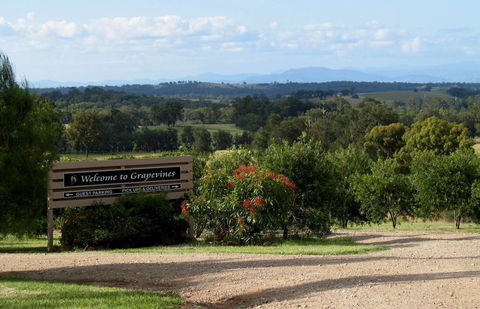 Grapevines Boutique Accommodation - Accommodation Kalgoorlie 15