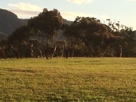 Grapevines Boutique Accommodation - Accommodation Kalgoorlie 26