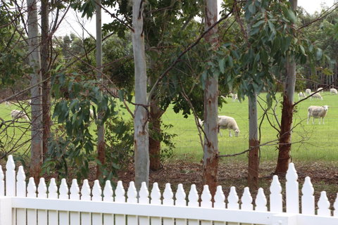 Sapphire Chalets, Augusta - Accommodation Kalgoorlie 9