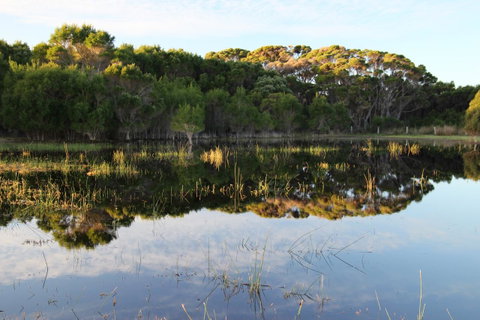 Sapphire Chalets, Augusta - Accommodation Kalgoorlie 14